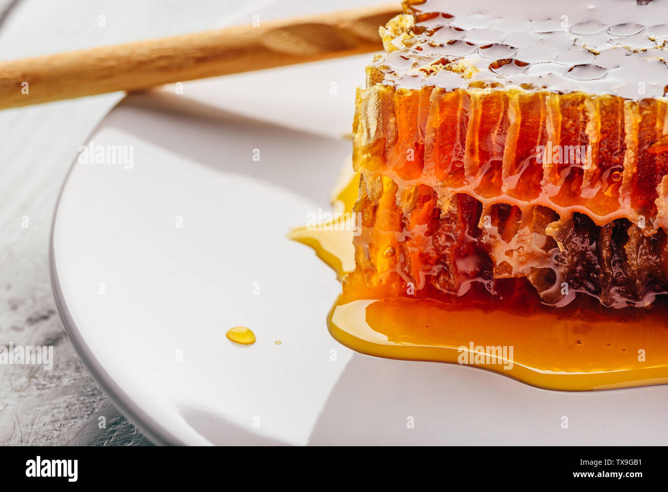 Close-up of sweet honeycomb on light background Stock Photo