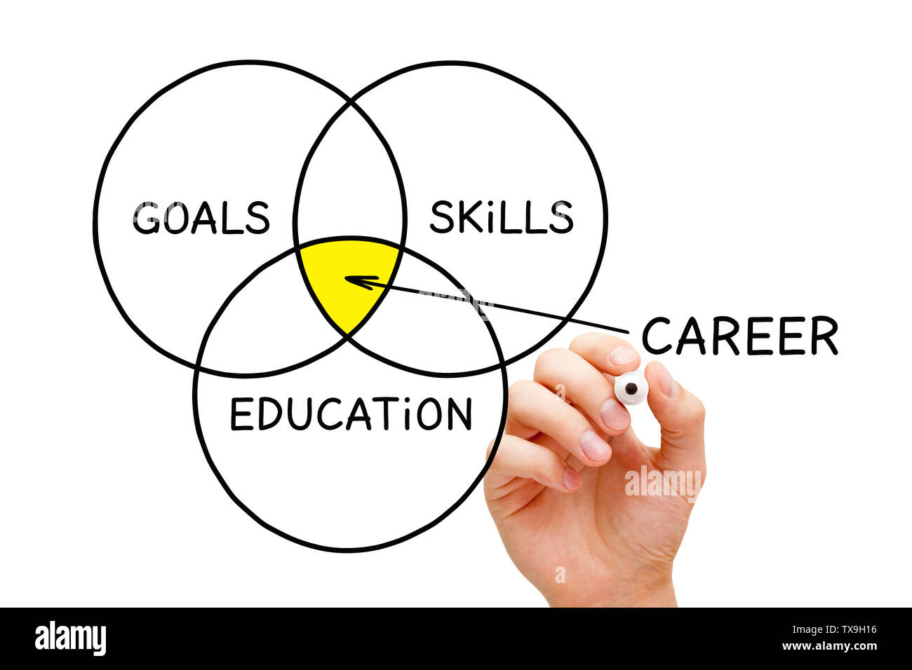 Hand drawing Career Goals diagram concept with marker on transparent wipe board isolated on white. Stock Photo