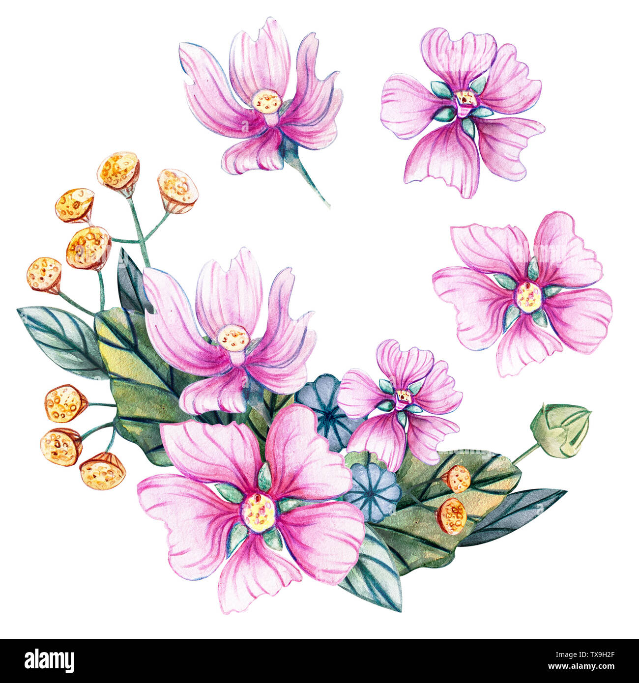 Hand-drawn bouquet of wildflowers. Watercolor illustration with mallow and tansy. Tanacetum and Malva. Template for greeting cards, fabrics, wedding i Stock Photo