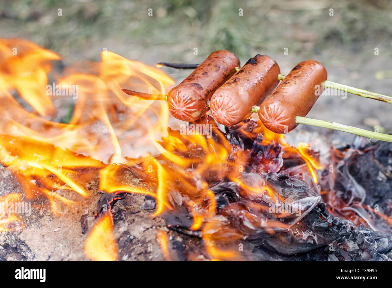 Grilling sausages over an open fire outdoors Stock Photo Alamy
