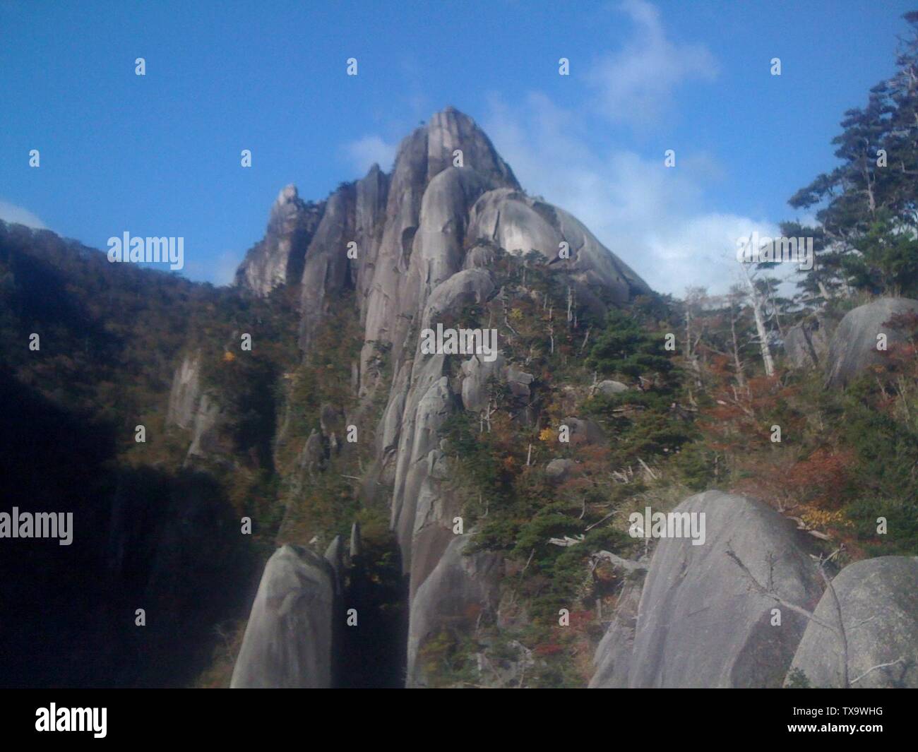 Reebok アディダス Clearance