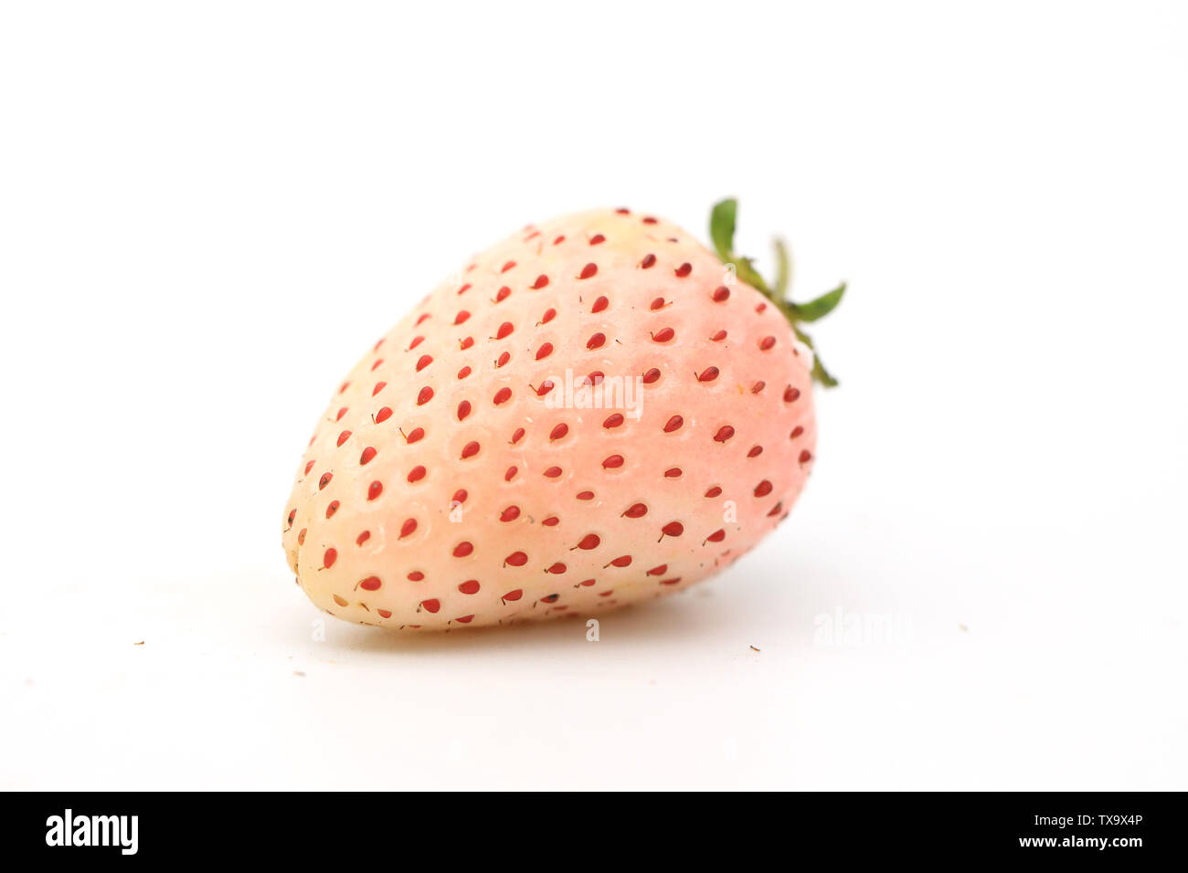 Lights On Strawberries - White on White Lights On Strawberries - White on White
