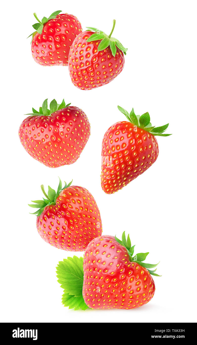 Isolated strawberries. Flying whole strawberry fruits isolated on white background with clipping path Stock Photo