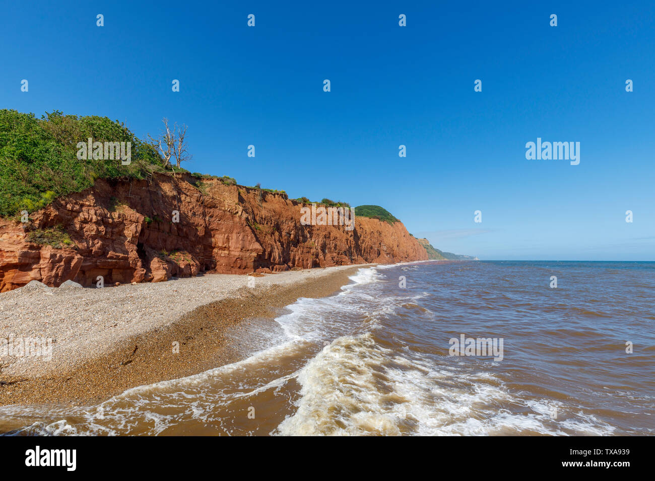 View of Salcombe Hill and cliffs looking east from Sidmouth, a small popular south coast seaside town in Devon, south-west England Stock Photo