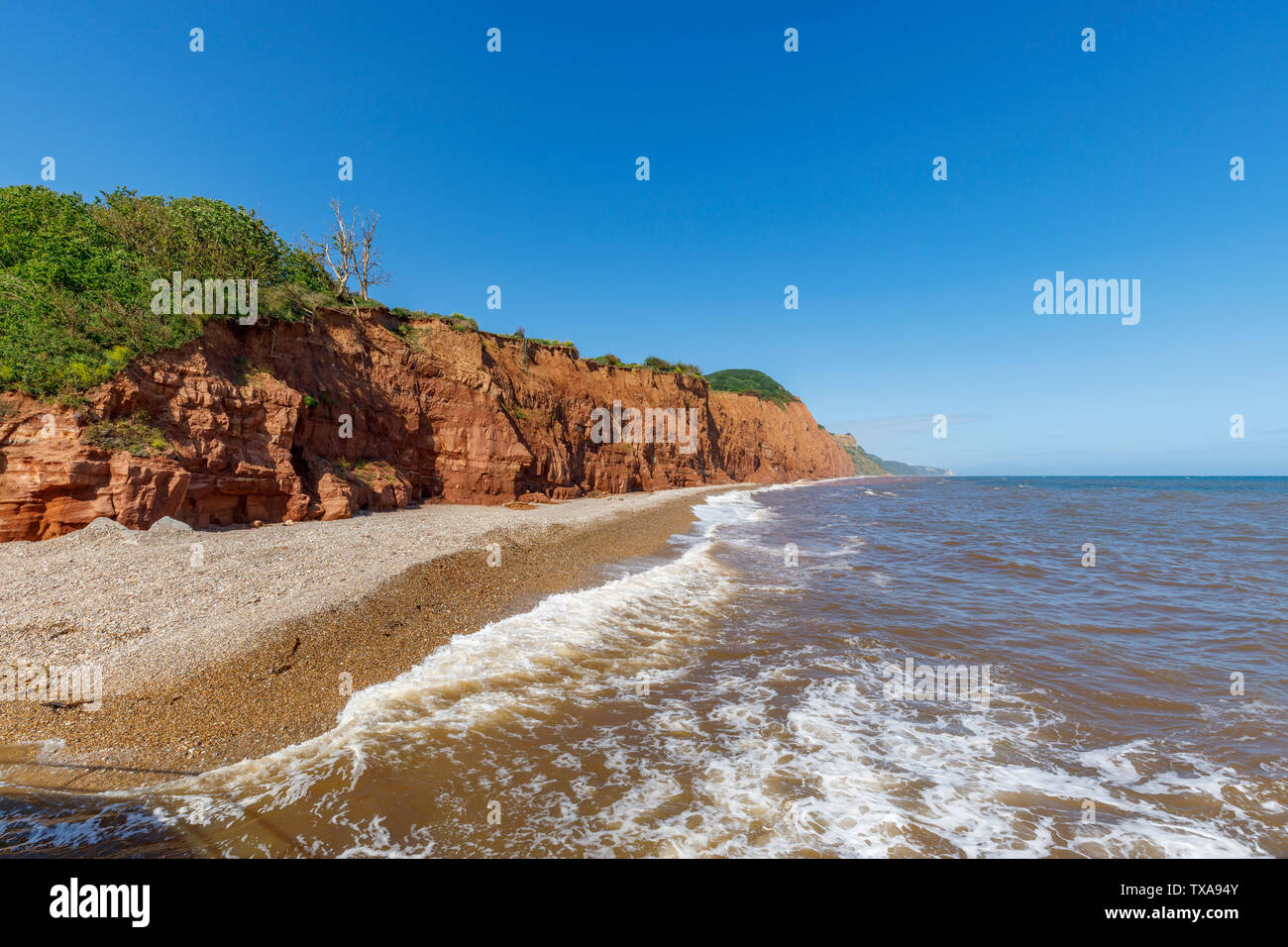 View of Salcombe Hill and cliffs looking east from Sidmouth, a small popular south coast seaside town in Devon, south-west England Stock Photo