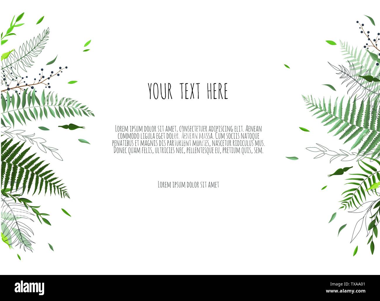 Green leaves border isolated on white background Stock Vector Image ...