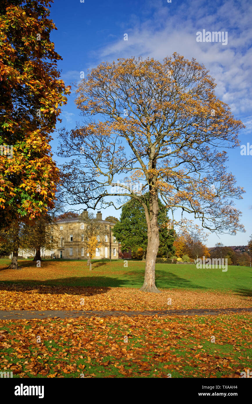 UK,South Yorkshire,Sheffield,Hillsborough Park & Hall Stock Photo