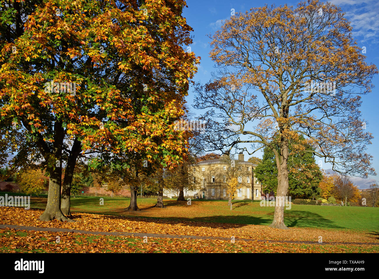 Hillsborough park sheffield hires stock photography and images Alamy