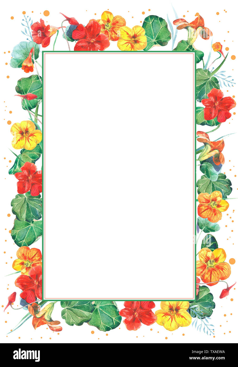 Watercolor frame template with nasturtium flowers. Hand drawn watercolor illustration. Stock Photo