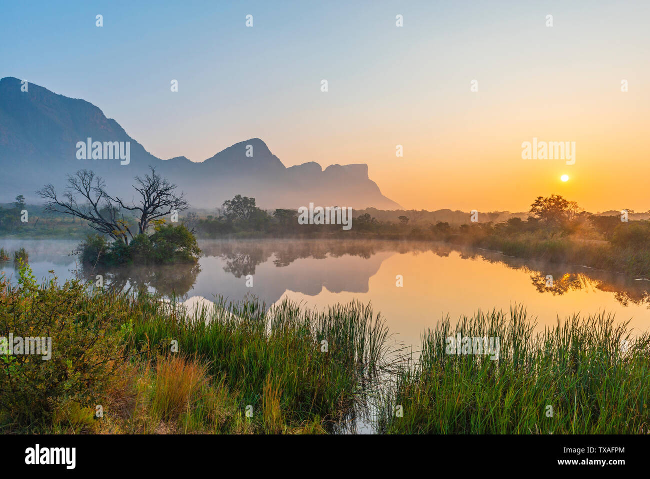 Landscape of a pond at sunrise in the fog with the Hanglip or Hanging Lip mountain peak, Entabeni Safari Game Reserve, Limpopo Province, South Africa. Stock Photo