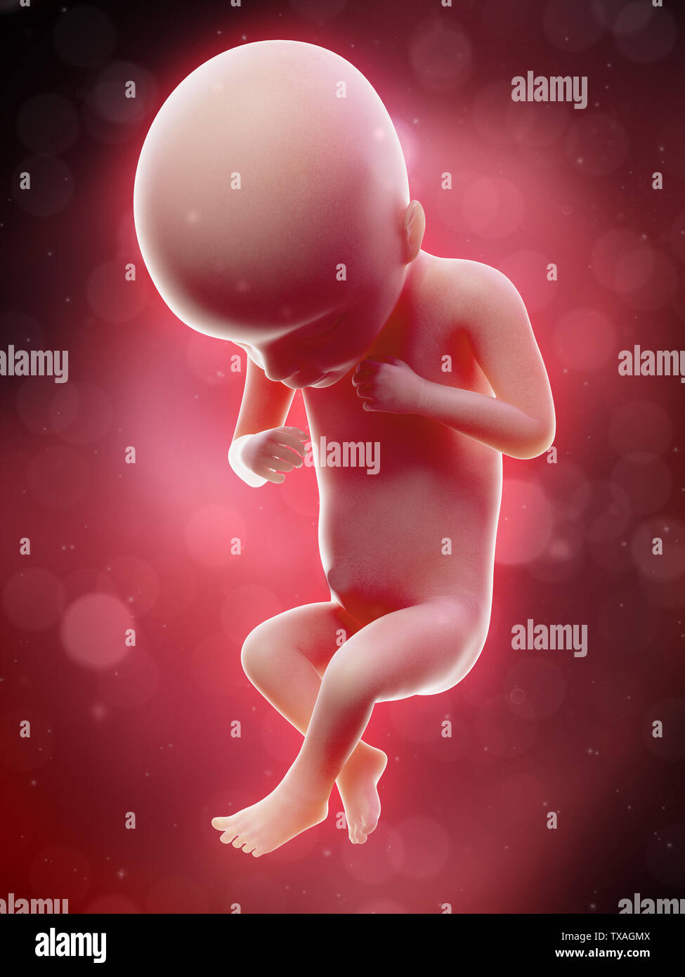 Growth Chart Baby Hi Res Stock Photography And Images Page 4 Alamy