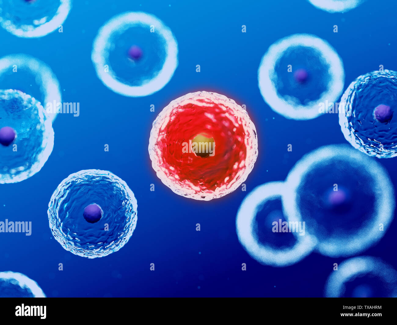 3d rendered medically accurate illustration of human cells Stock Photo