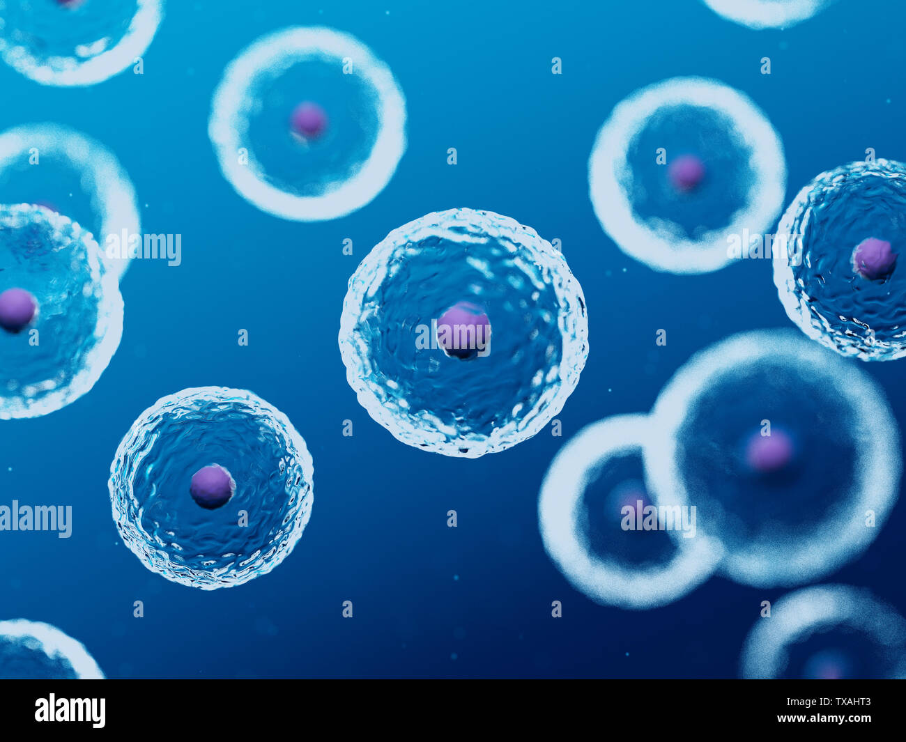 3d rendered medically accurate illustration of human cells Stock Photo