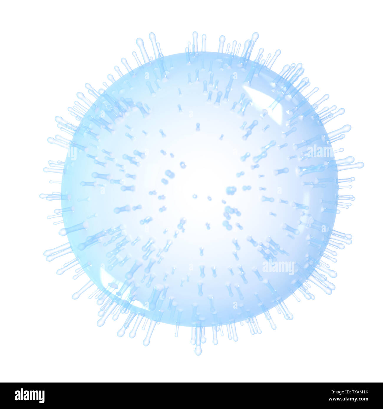 Eukaryotic cell diagram hi-res stock photography and images - Alamy