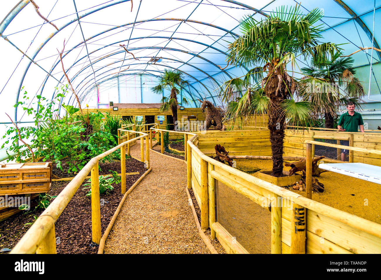 Interior of the Reptile House, Jimmy's Farm, UK Stock Photo