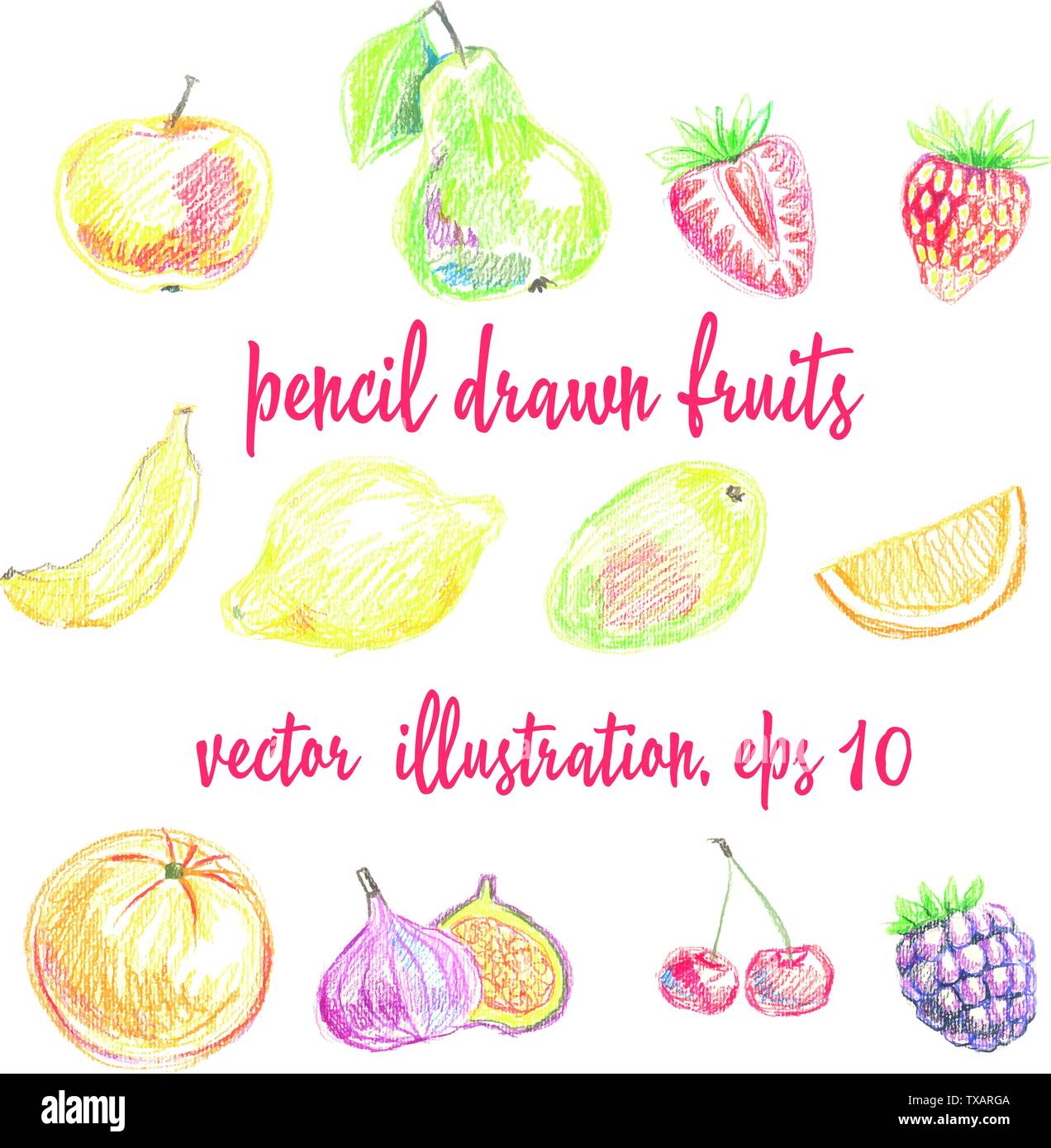 Set of pencil-drawn fruits and berries. Freehand drawing Stock Vector