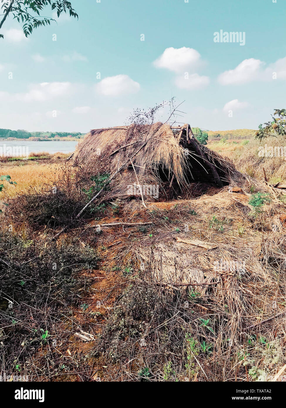 Bullpen hires stock photography and images Alamy