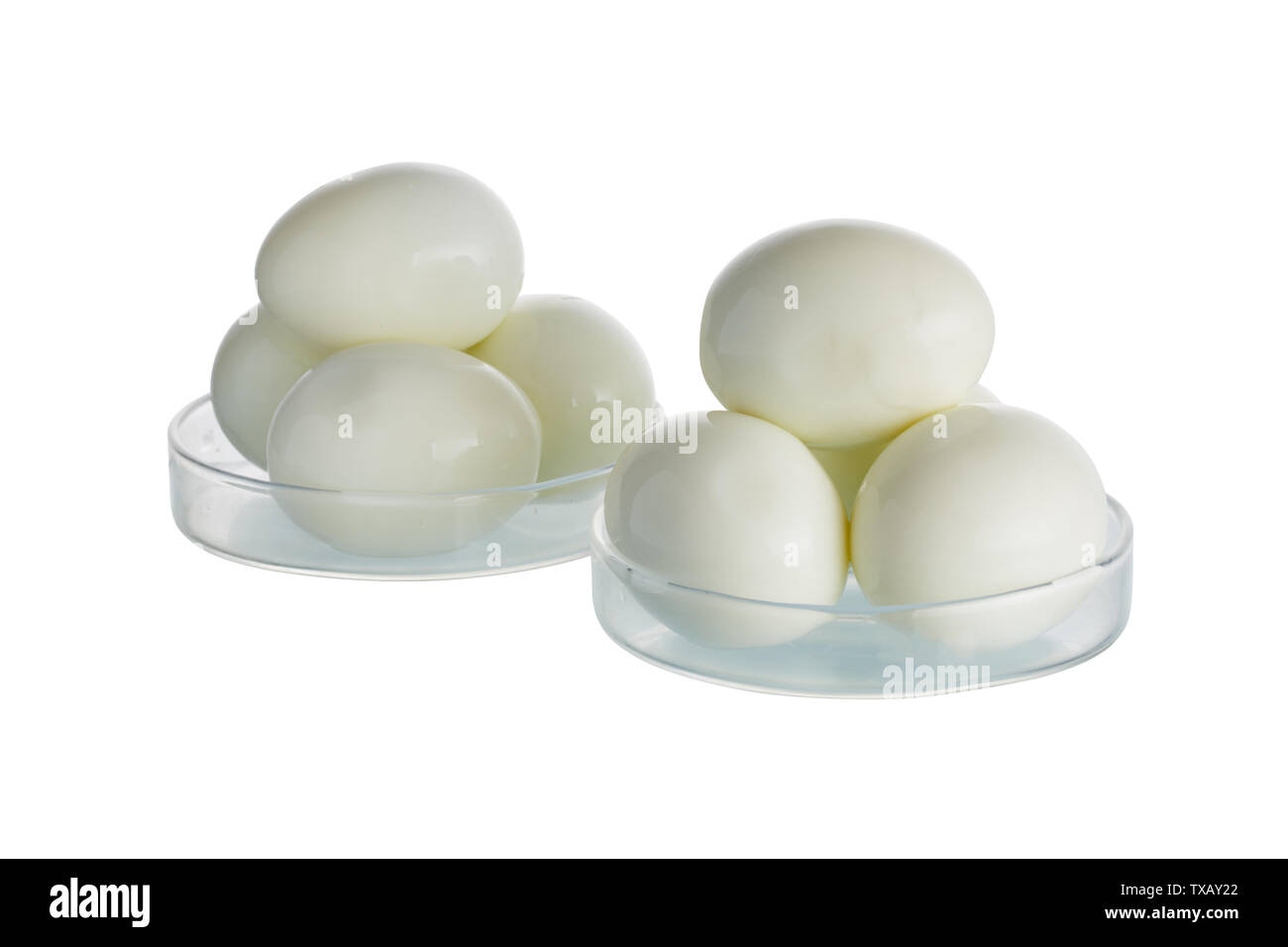 Egg and egg liquid Stock Photo Alamy