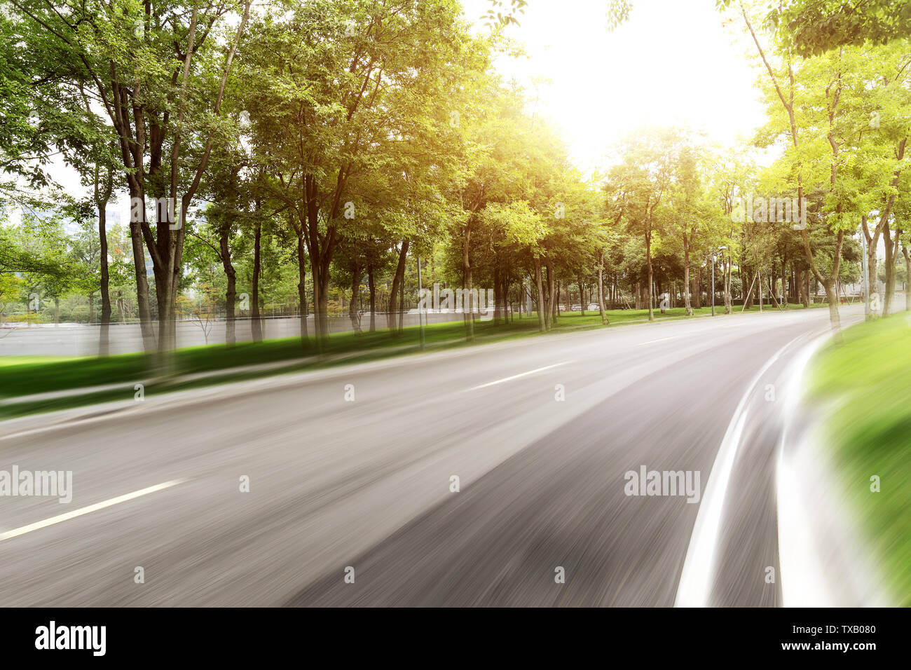 Empty asphalt road with green trees Stock Photo - Alamy