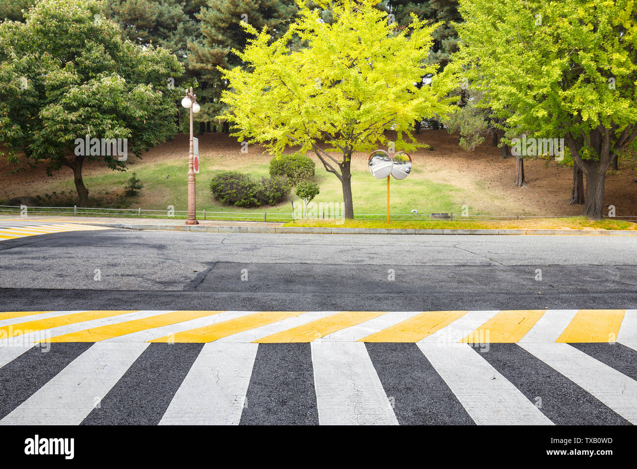 Empty asphalt road with green trees Stock Photo - Alamy