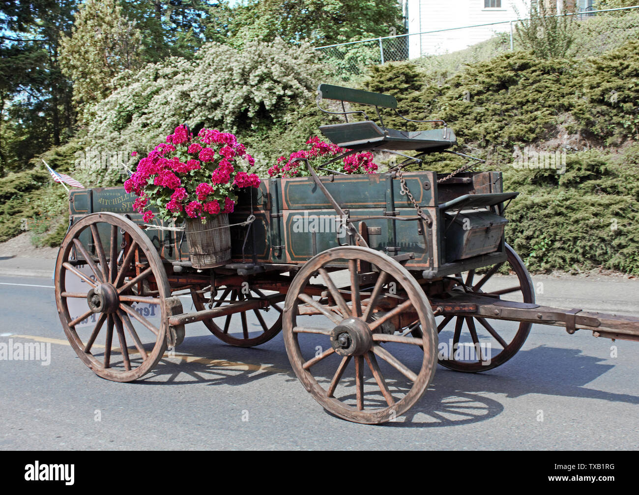 Old wagon carrying red flowers. Stock Photo