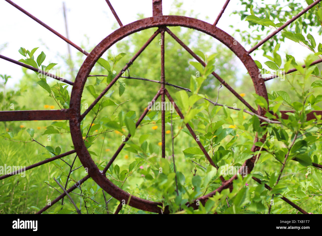 abstract sun image on old rusty iron gate. Image for background Stock Photo