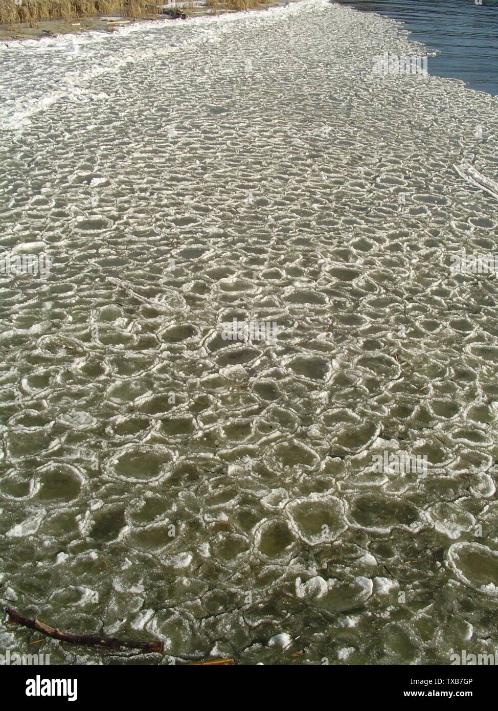 Pancake ice formed by alternating above/below freezing temperatures and wave action at the mouth of the Winooski river, Burlington, Vermont, USA; 10 December 2006; photo taken by Josh Bongard Original: en.pedia 22:39, 2006-12-10 . . 1,224Ã—1,632 (813 KB) . . Josh bongard . . (Author: Josh Bongard Source: myself); Josh Bongard (Josh bongard); Stock Photo