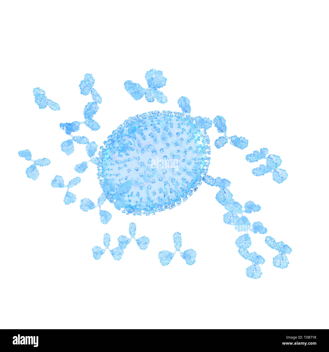 3d rendered illustration of an influenza virus being attacked by antibodies Stock Photo