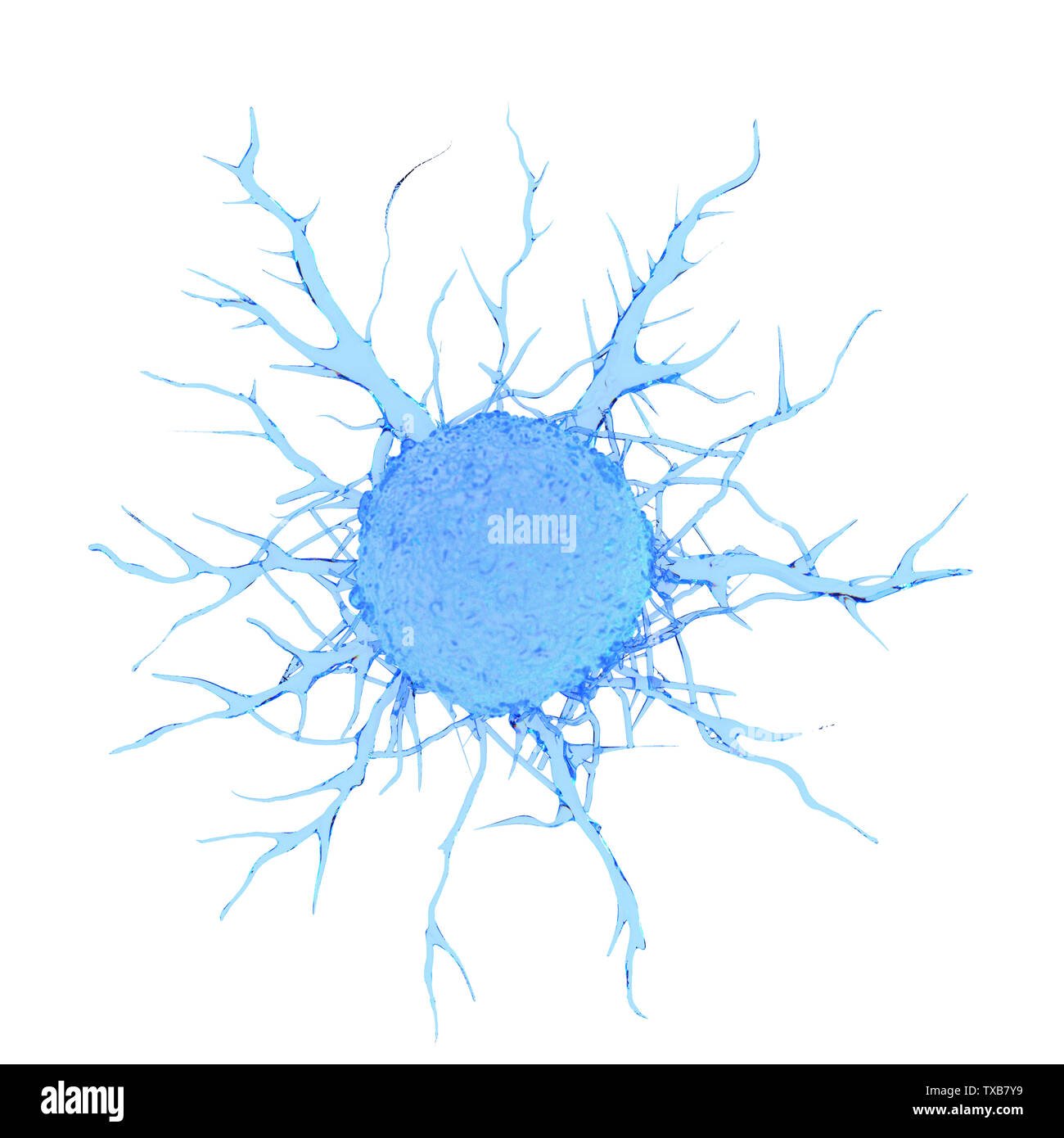 3d rendered medically accurate illustration of a cancer cell Stock ...