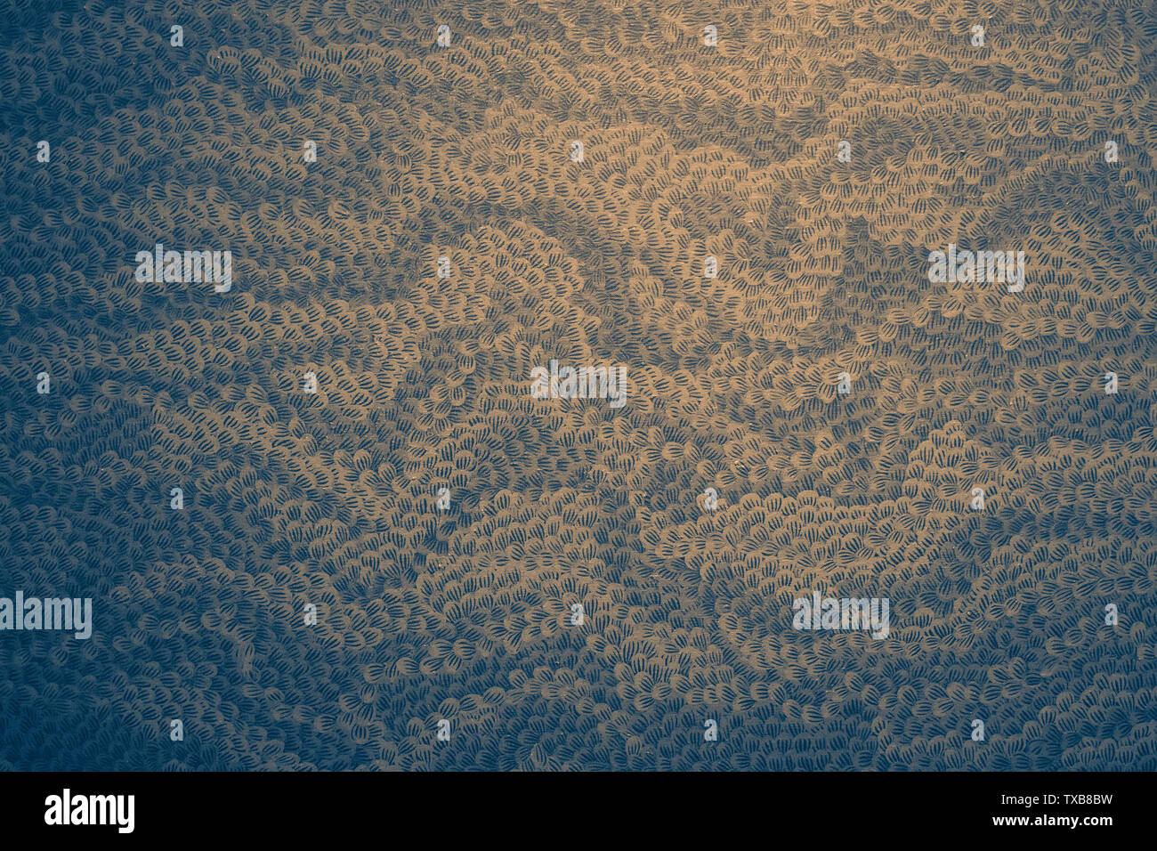 Colorful dots pattern. Dark and deep abstract geometric pattern Stock Photo