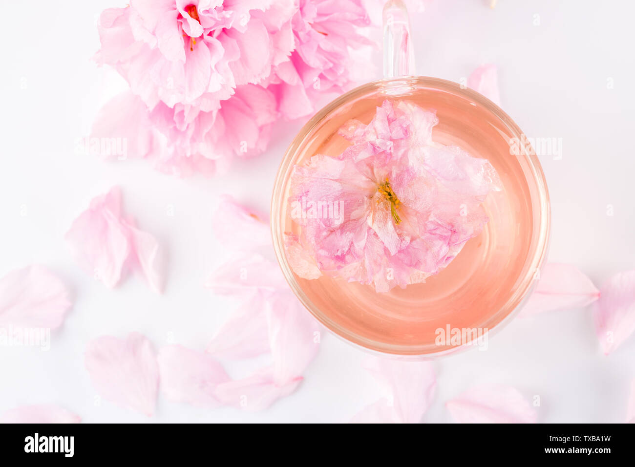 Pink cherry blossoms and a cup of cherry blossom tea, healthy plant drink Stock Photo Alamy