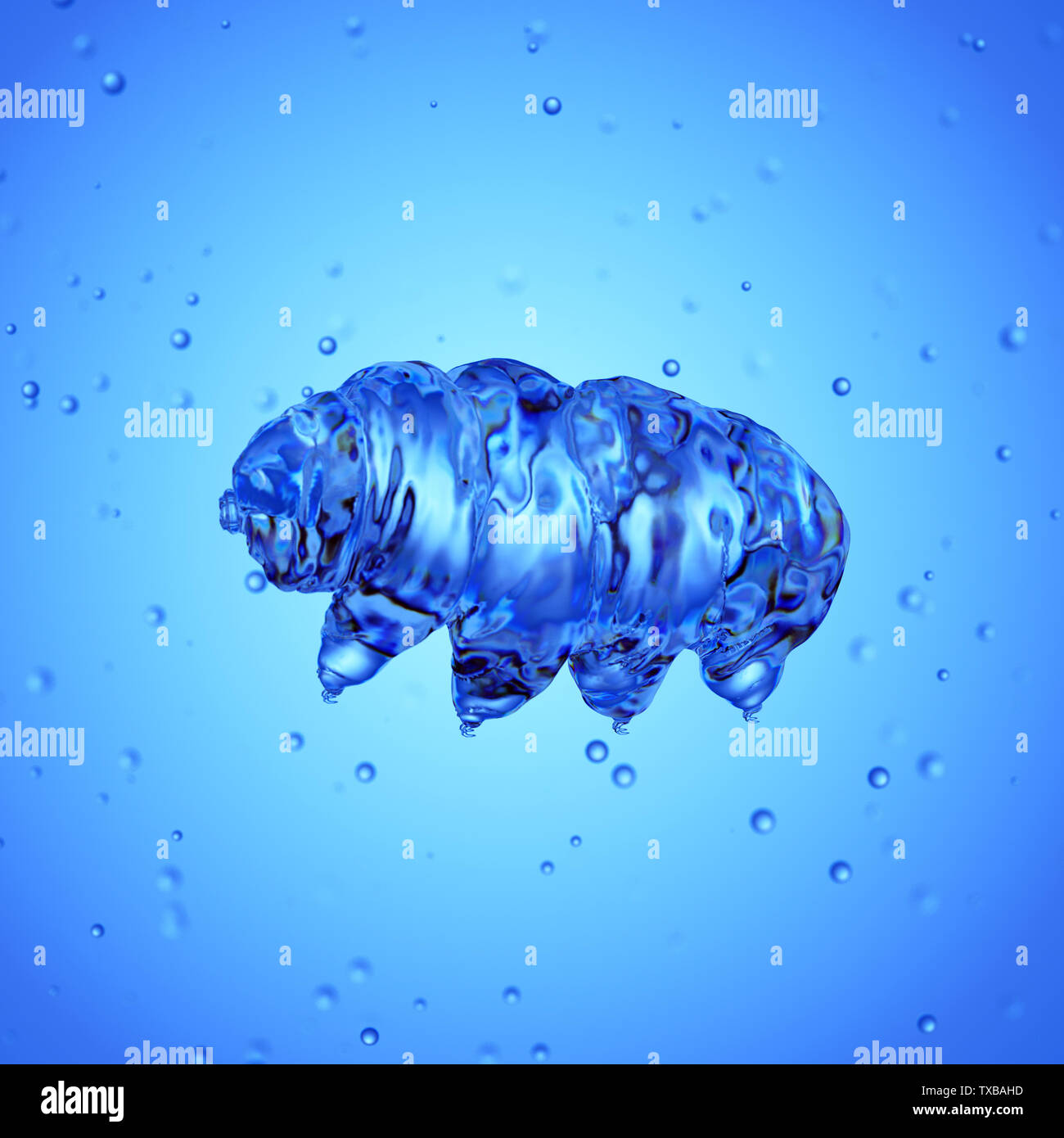 3d rendered medically accurate illustration of a water bear Stock Photo