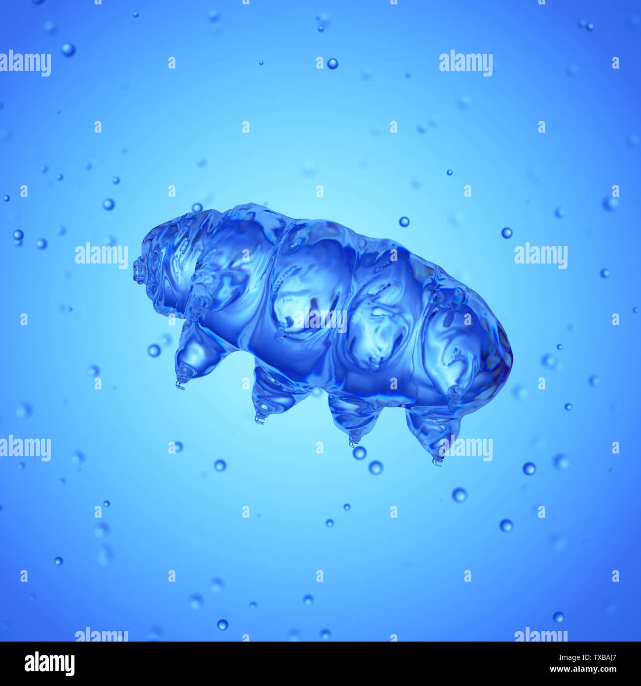 3d rendered medically accurate illustration of a water bear Stock Photo