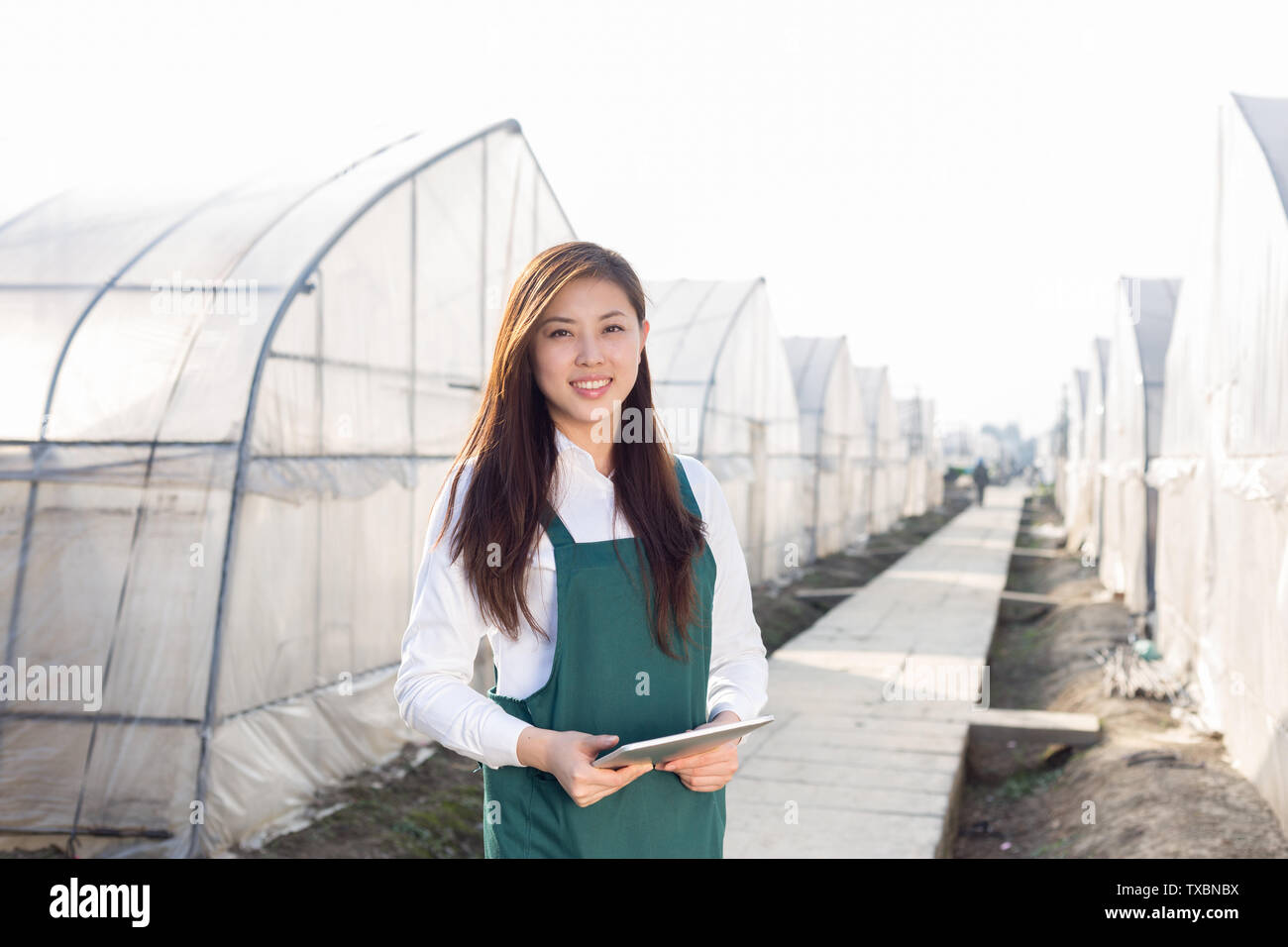 Asian network engineer hi-res stock photography and images - Alamy