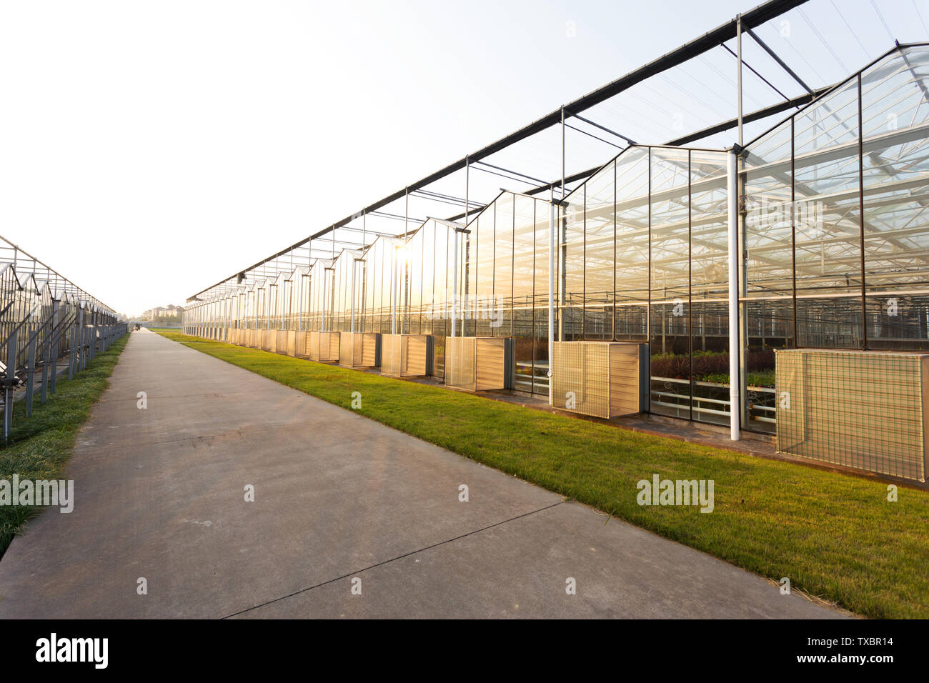 Commercial Greenhouses High Resolution Stock Photography and Images - Alamy
