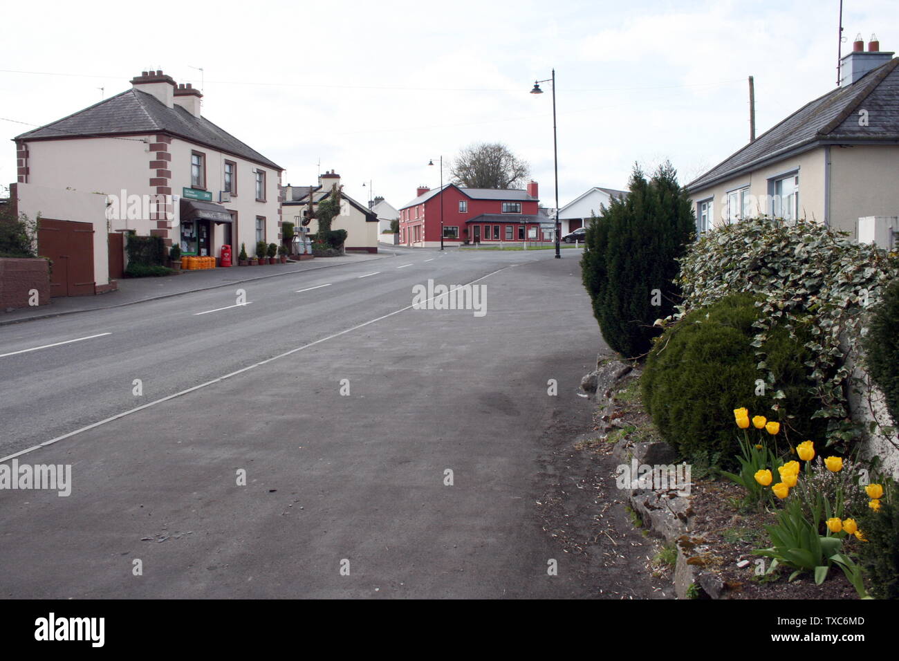 Chat online in Roscommon, Ireland. With over 478M users on Badoo, you will find someone in Roscommon. Make new friends in Roscommon at Badoo today! Online Chat & Dating in Roscommon | Meet Men - Badoo