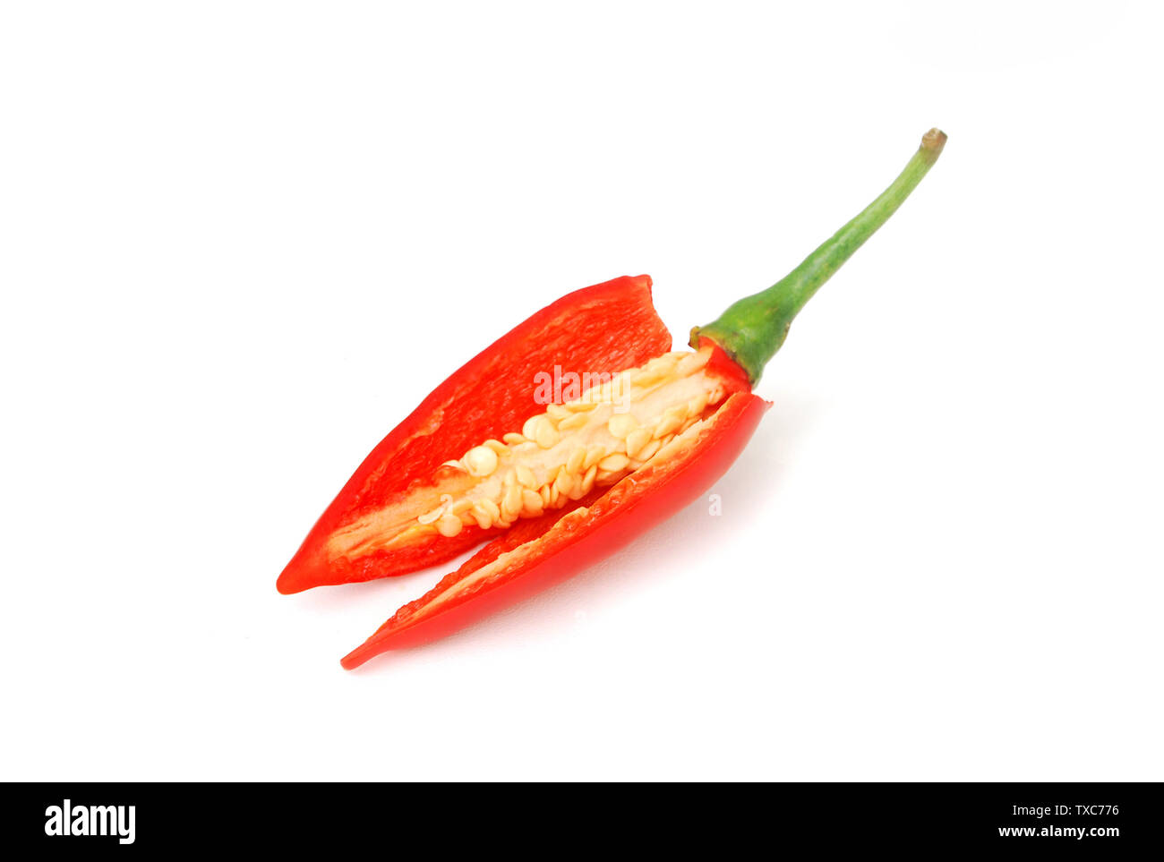 Capsicum frutescens L. Chilli Pepper.Chili has anti-oxidants, helps slow down aging. Stock Photo