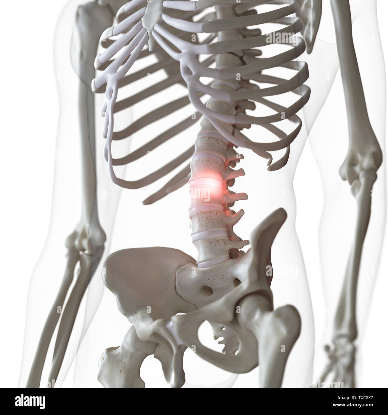 3d rendered medically accurate illustration of pain in the lower spine ...