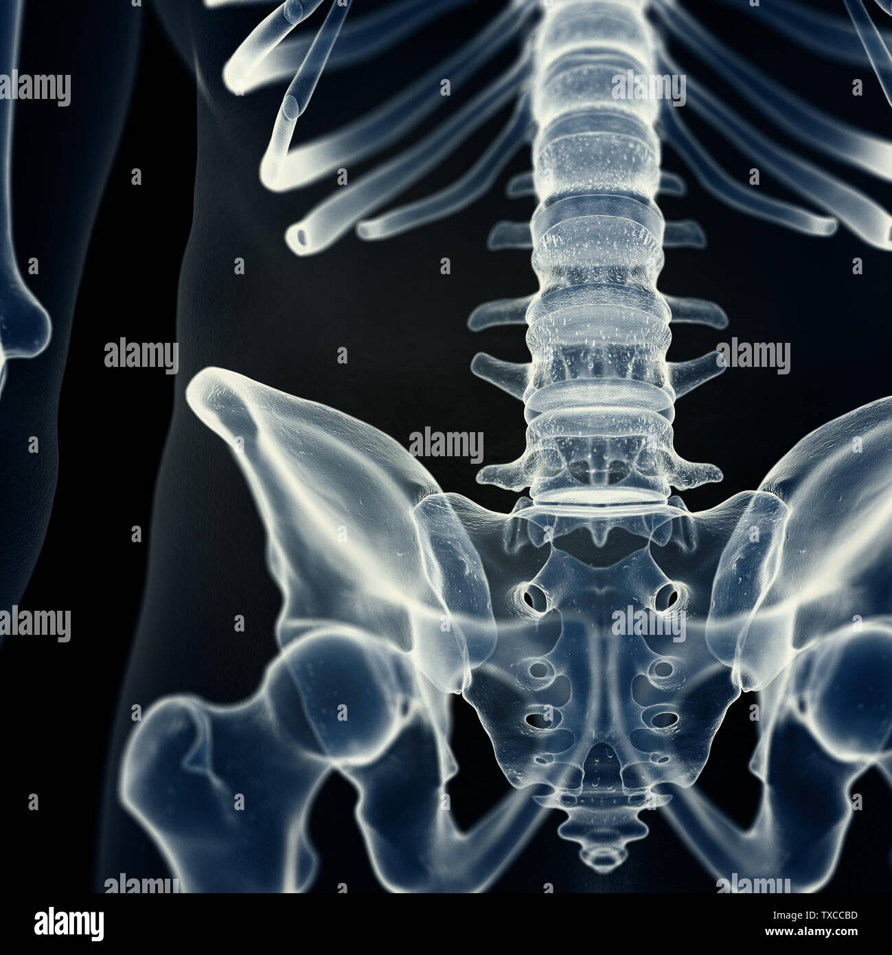 Xray of the lumbar spine hi-res stock photography and images - Alamy