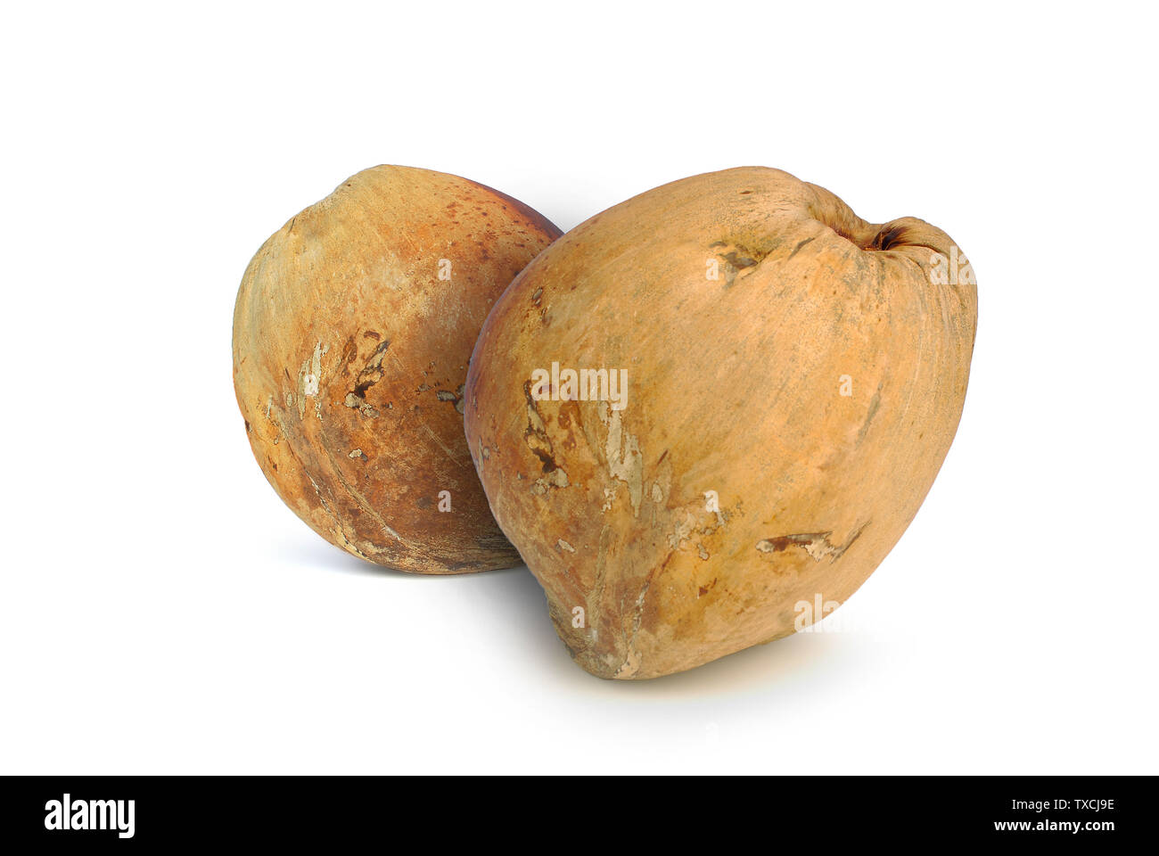 Dried coconut on white background.with clipping path. Stock Photo