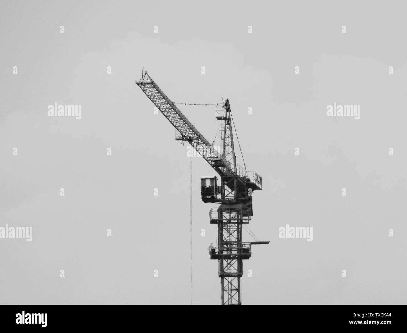 Cranes black and white Stock Photo - Alamy