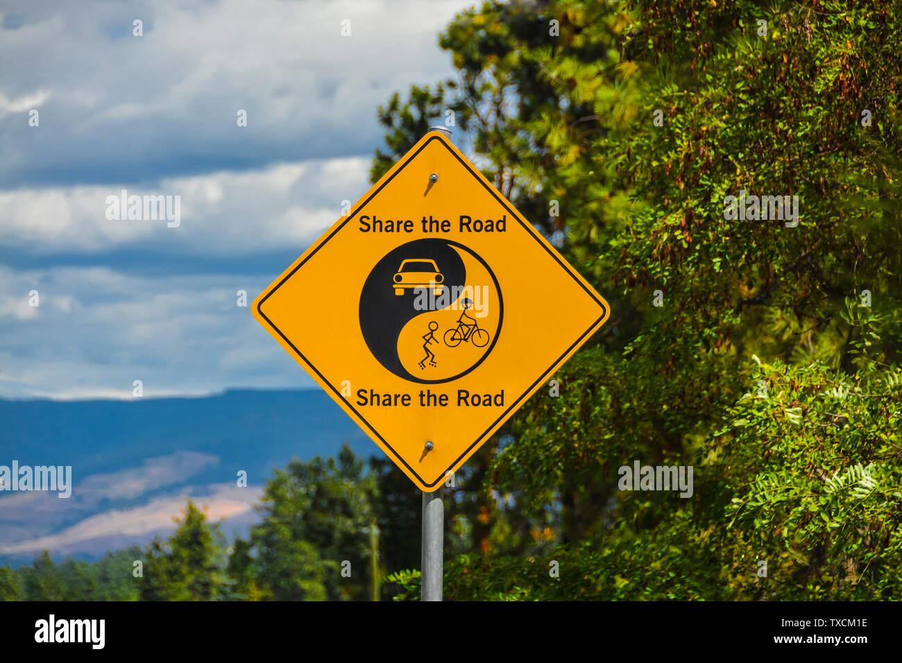 Share the Road yellow sign on green leaves and blue sky background. Stock Photo