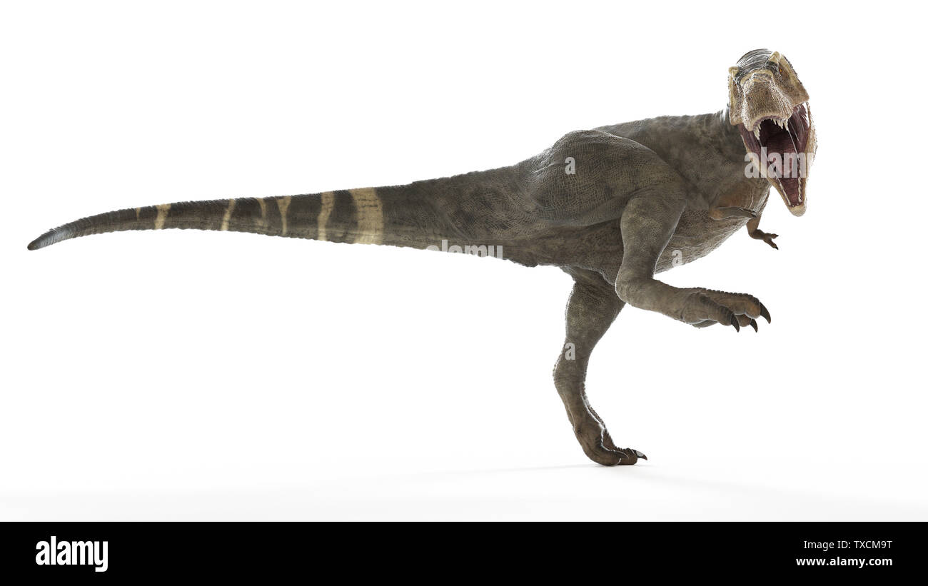 T-rex dinosaur running. Photorealistic 3d illustration side view. On white  background. Clipping path included Stock Photo - Alamy