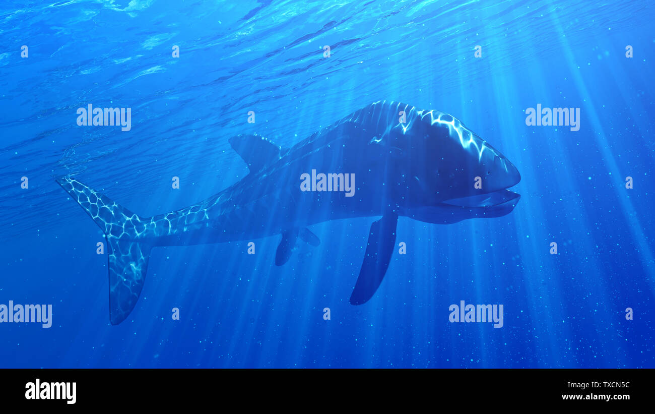 3d rendered illustration of a Leedsichthys Stock Photo