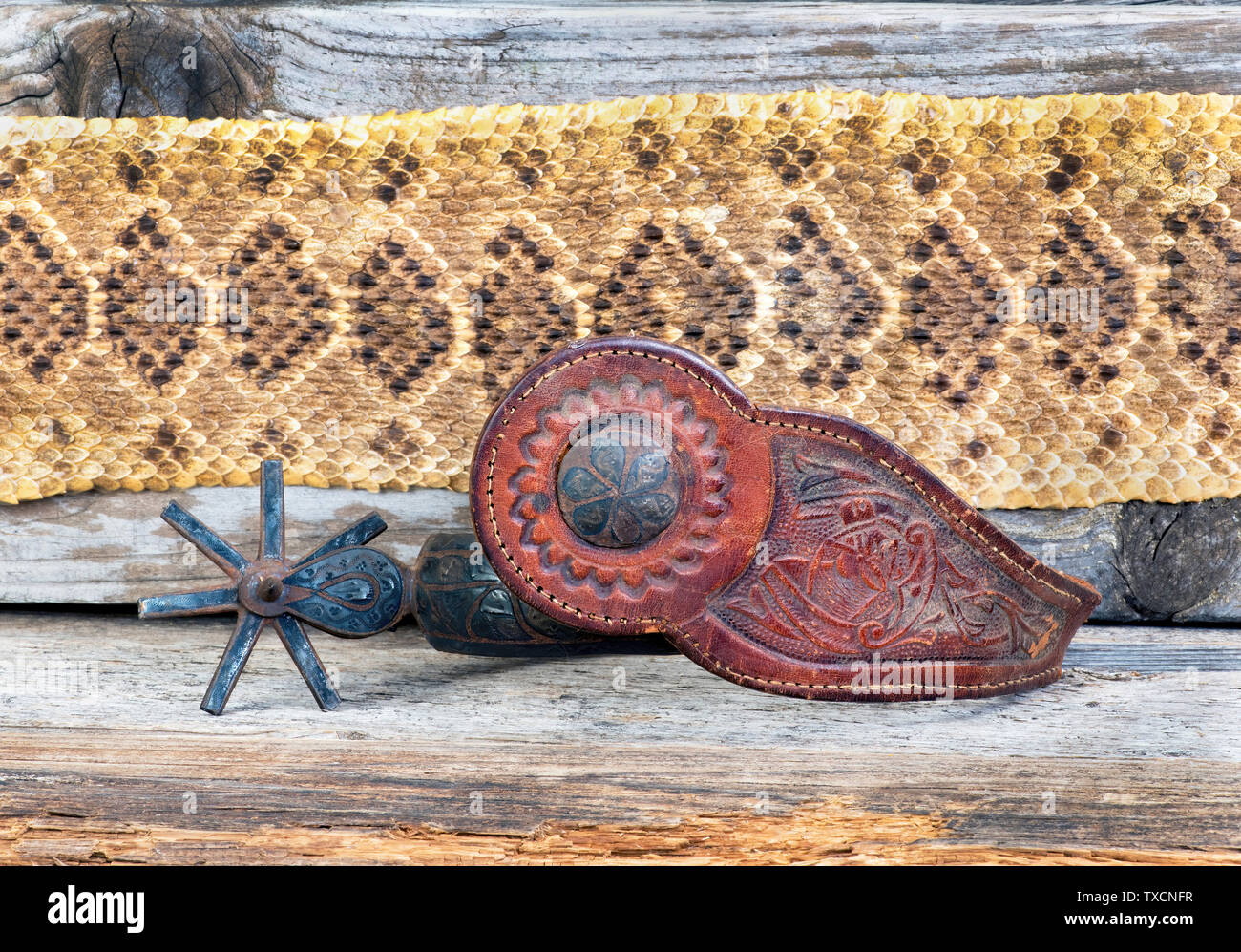 Antique Mexican spurs with rattlesnake skin background and room for your type. Stock Photo