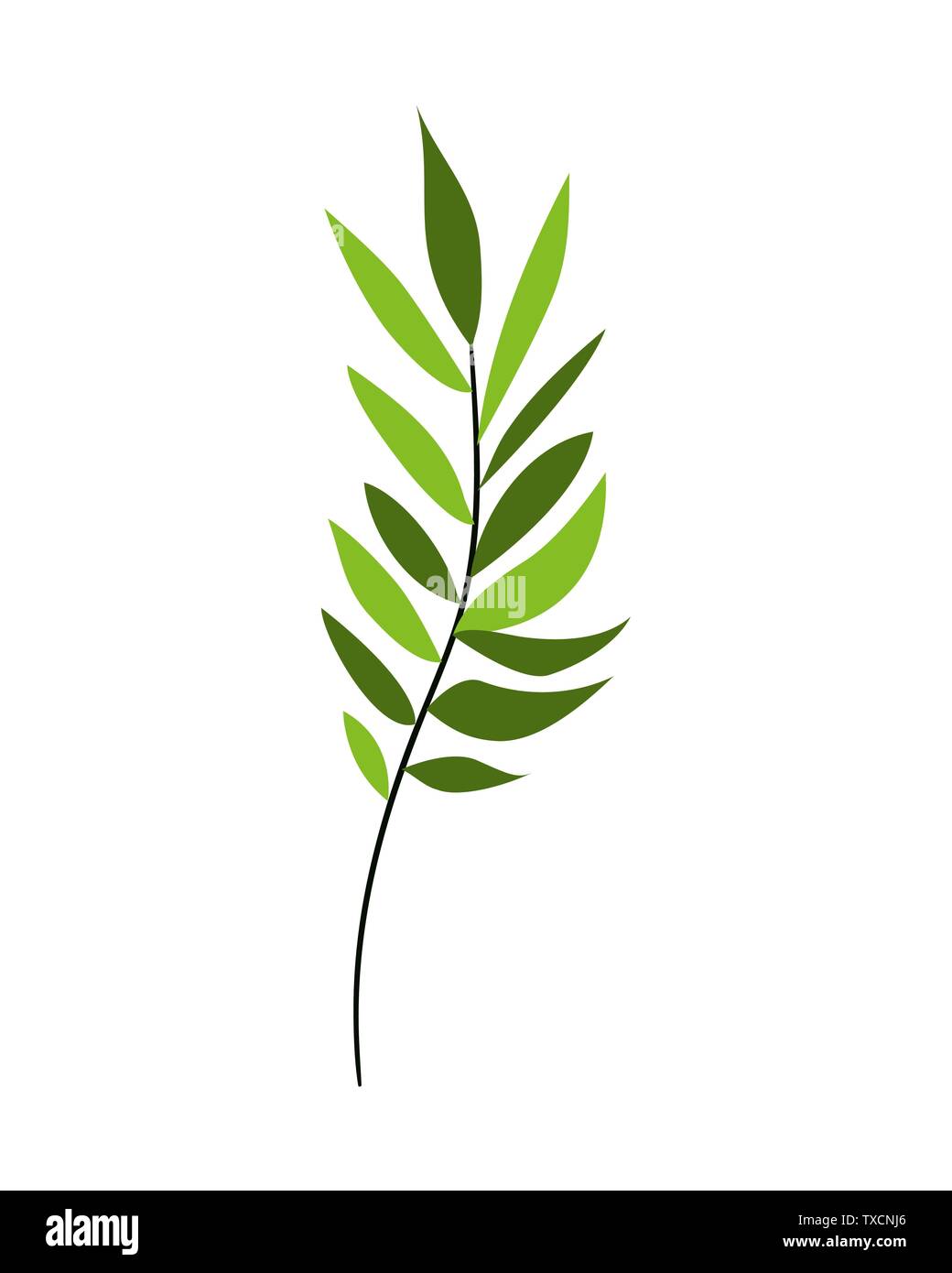 branch with leaves on white background Stock Vector Image & Art - Alamy