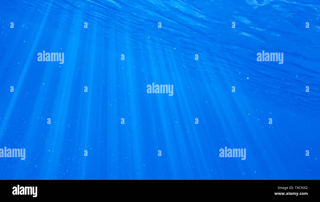 3d rendered illustration of an underwater scene Stock Photo