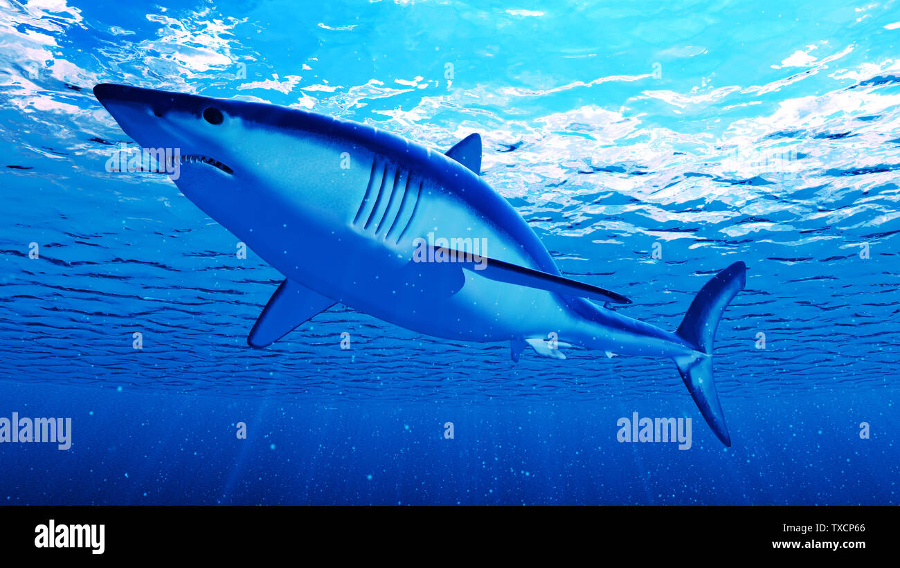 3d rendered illustration of a mako shark Stock Photo
