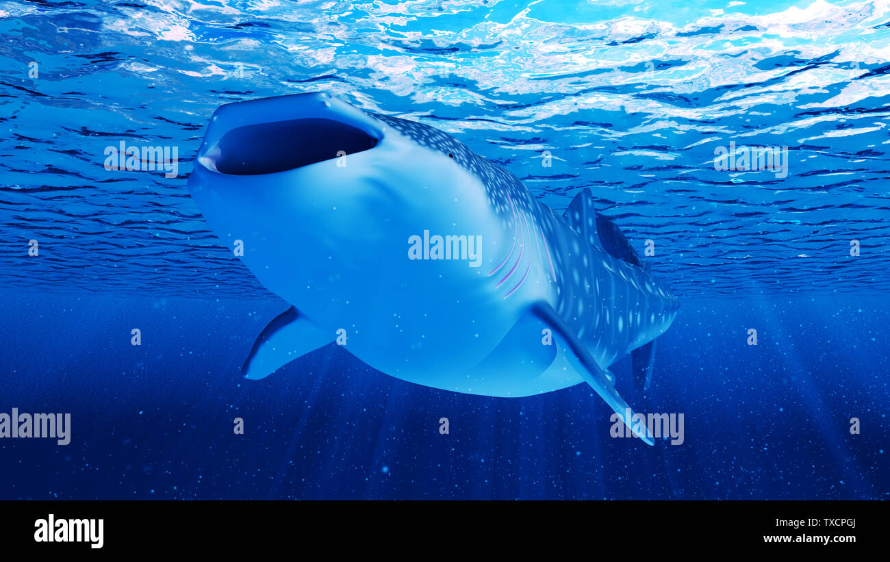 3d rendered illustration of a whale shark Stock Photo
