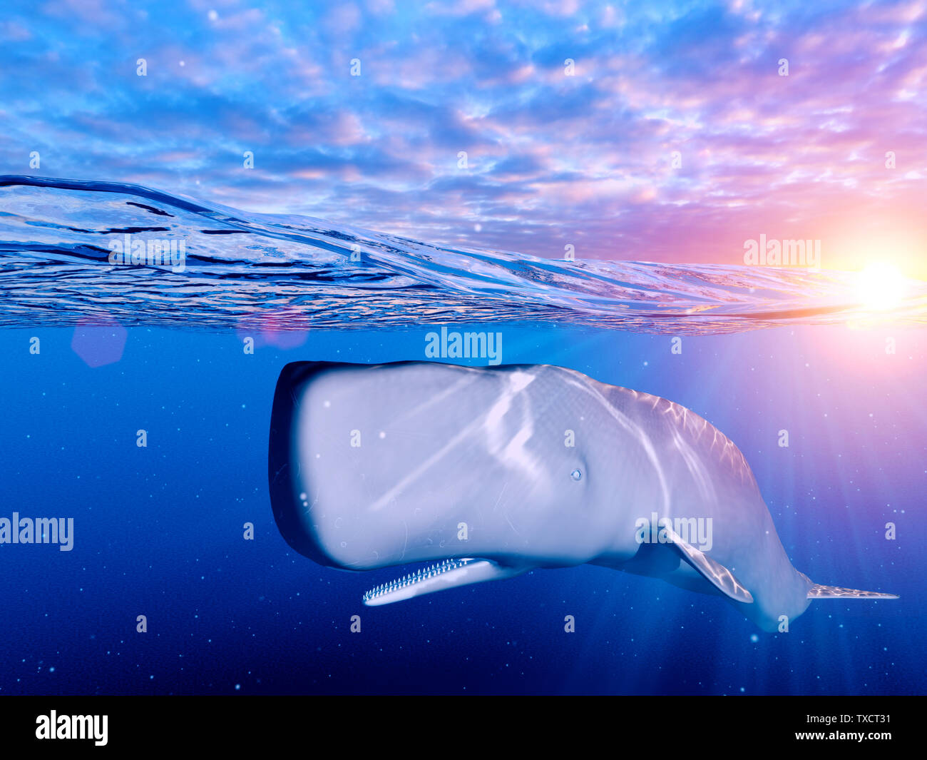 3d rendered illustration of a sperm whale Stock Photo